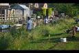 DSC 0695